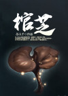 棺芝值钱不