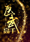 医武高手走仕途的小说