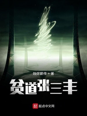 贫道张三丰,以理服人 小说