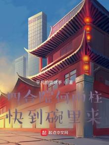 四合院2岁的何雨柱小说