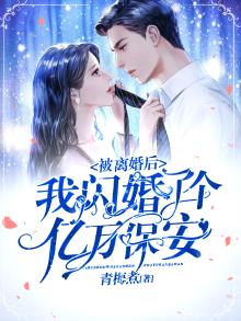被离婚后,我闪婚了个亿万保安 小说