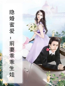 隐婚深爱,前妻不好追 小说