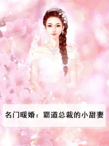 名门暖婚霸道老公极致宠