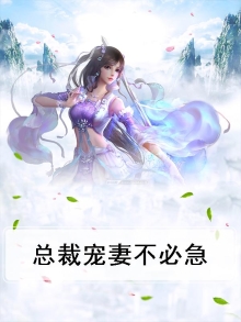 总裁宠妻不腻 小说