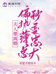 夫人要离婚全文免费