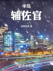 半岛是什么意思?