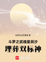 斗罗之星辰扇武魂
