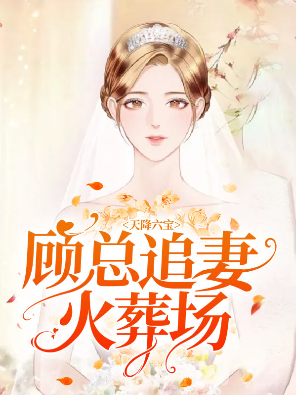 天降六宝总裁追妻火葬场