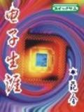电子生涯人物访谈报告