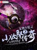 宠物小精灵之小次郎传说