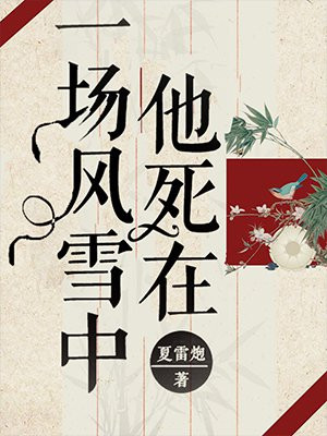 他死在一场风雪中小说