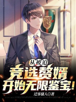 从被迫竞选赘婿开始无限鉴宝