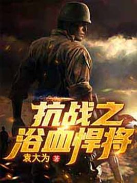抗战之浴血悍将电视剧全集