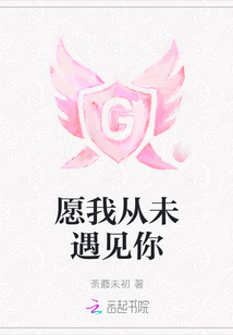 如果从未遇见你