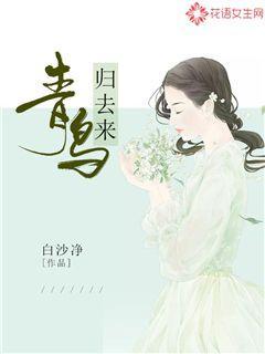 青鸟归去来白沙净小说