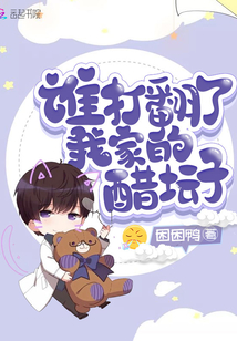 谁打翻了我家的醋坛子小说