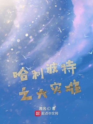 哈利波特之哈利波特