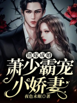 错嫁王妃又名替嫁王妃萧君泽