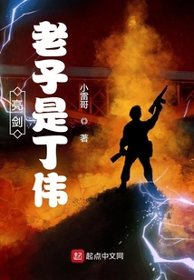 亮剑:老子是丁伟TXT