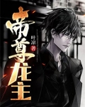男主是尊龙小说
