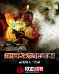 抗日之东北崛起 品茗闲人