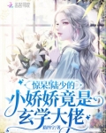 惊呆！陆少的小娇娇竟是玄学大佬