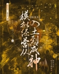 [综英美]模拟经营从入土到成神23