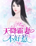 天降霸妻不好惹 小说