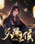 天降王侯王渊小说