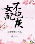 穿书之女配不炮灰