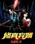 修真弃婿下载