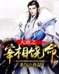 大唐之驸马饶命