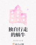 独自行走的蜗牛 除夕猎户座