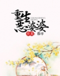 重生恶婆婆TXT下载