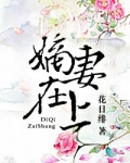 嫡妻在上（重生）