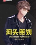 狗头策划小北原型