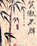 笑傲不群TXT下载