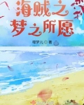 海贼之梦之所愿下载