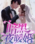 暗黑夜暖婚