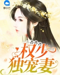权少的独宠免费阅读全文