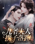 《九爷,夫人宠翻天》