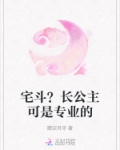 宫斗长公主职