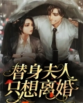 替身夫妻要离婚