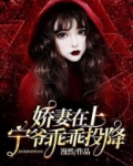 主角叫宁娇娇的小说