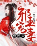 邪王宠妻逆天炼术师