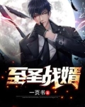 至胜战婿