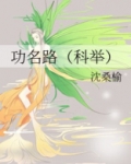 功名路(科举)TXT