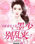 甜妻在上墨少别乱来墨封诀免费