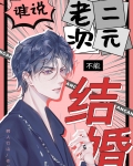 谁说老二次元不能结婚txt