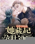 她藏起孕肚逃跑总裁全球疯找全集